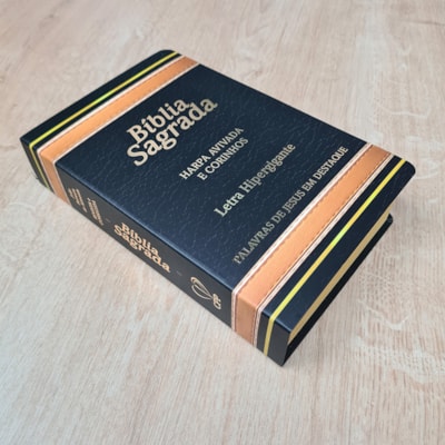 image_871fcc04-bb17-4f81-b6d3-037dec7416ea