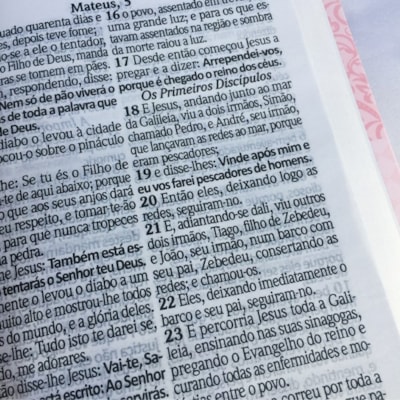 image_083ad054-030e-4bd6-b414-d8af2e25d8f5