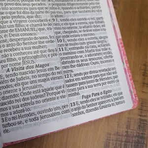 Bíblia Sagrada com Harpa Avivada e Corinhos | Letra Hipergigante | ARC | Luxo Laminada Rosa