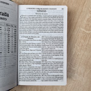 Bíblia Sagrada com Harpa Avivada e Corinhos | Letra Hipergigante | ARC | Semi-flexível Borboleta Rosa