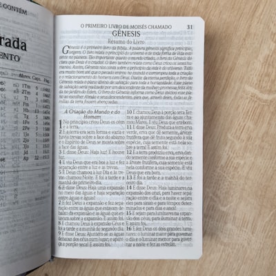 image_dc194a9b-4cfa-435f-80c2-e06513b2273a