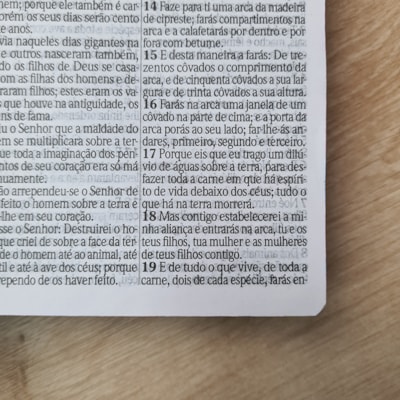 image_385e1775-8156-451e-a391-461868432e2b