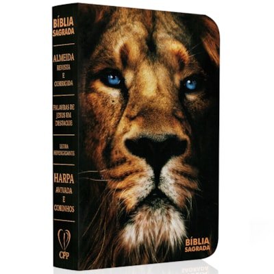 Imagem Principal - 55a42559-45c5-4e13-a2b5-bf9edd13bef4