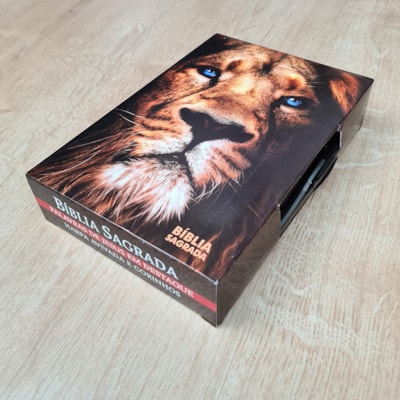 image_c2d077f2-e799-444d-9c09-d1c0fb8414dd