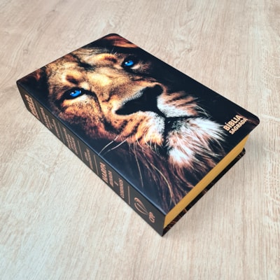 image_9be6aa4e-c54b-456a-99ba-38bc5e06f3b4