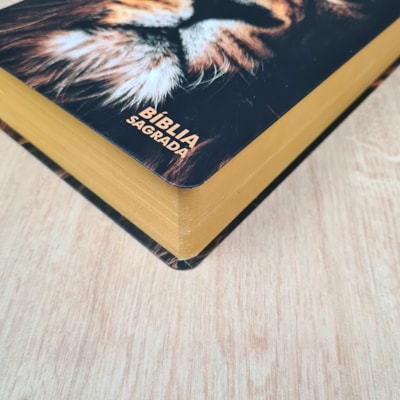 image_3e13c6cd-2bf2-4a55-9ef9-2494f3f00f51