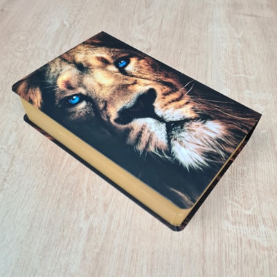 image_3b3749dd-336b-4a9a-ab93-b937a457d96c