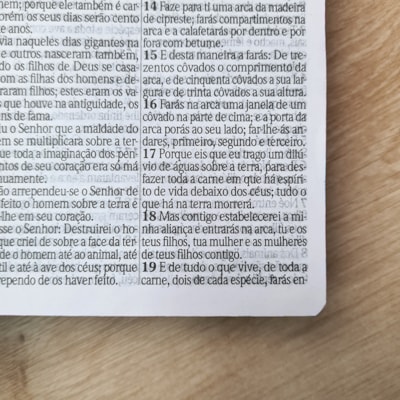 image_cd5e0ba4-8b4f-40a2-8b98-7566b0bf1f22