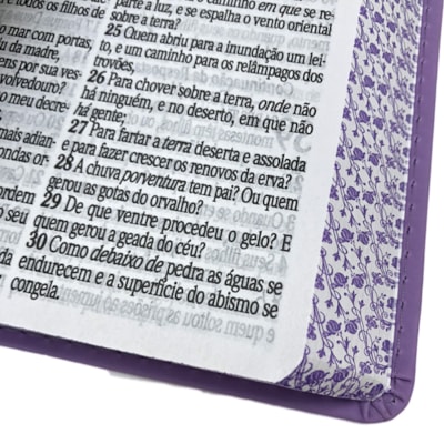 image_95a15afa-a4b7-42a7-817c-e720e8de2f22