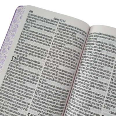 image_4a8caa04-e943-4f88-85cc-c3de5b226add