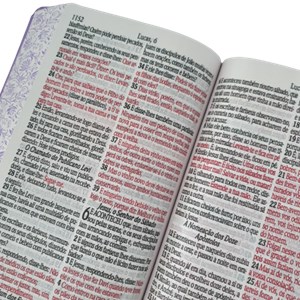 Bíblia Sagrada Com Harpa Avivada e Corinhos | Letra Ultragigante | ARC | Ramo Lílas Luxo