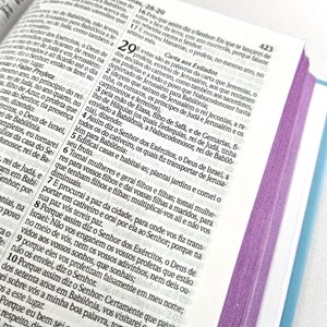 Bíblia Sagrada com Harpa Avivada e Corinhos Rosa de Saron | ARC | Letra Normal | Capa Dura