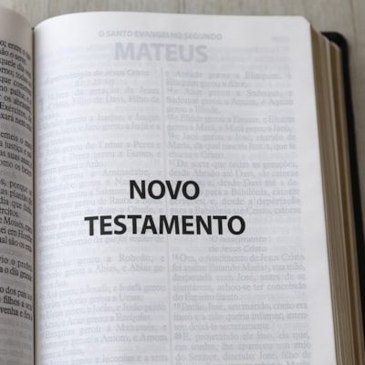 image_526b4c47-694f-4005-9e10-d3b10c2ff9ae