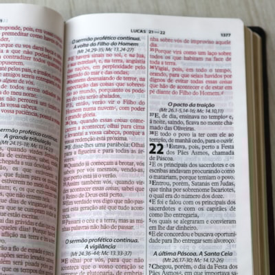 image_1f1ce1c0-64ec-4117-bd53-1020d1b6dd75