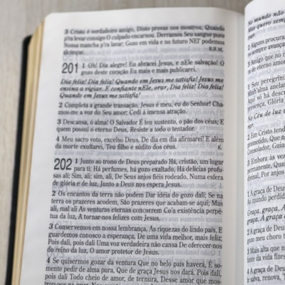 image_b6186d2e-1d23-45c0-b3f4-9a40f200ada0