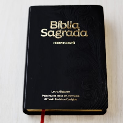 image_4e695644-69b7-406e-bf82-4e09369bb245