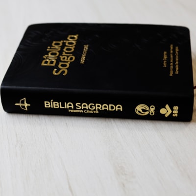 image_28c0ddc0-3b77-4ed4-a23e-6369573c44ff