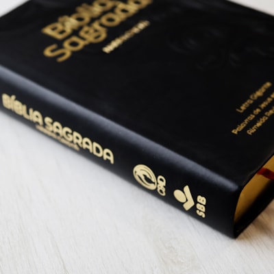 image_b8ef9efa-761d-4bc8-9d53-e336f90222bc