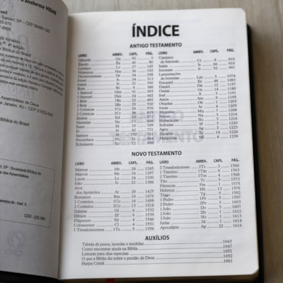 image_8e9b3dd9-363b-4636-87da-efed6cc212e9