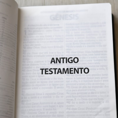 image_ab8f2403-5194-4b81-aca3-5cb9676390b0