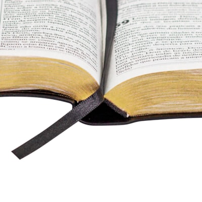 image_3fd3094c-54e1-4493-a7f6-8a5dd37abca2