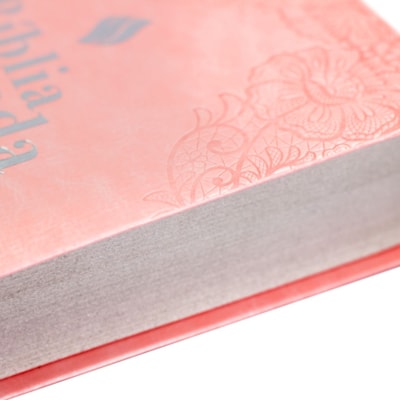 image_b72de942-25be-4042-9e3b-4270e5d92c24