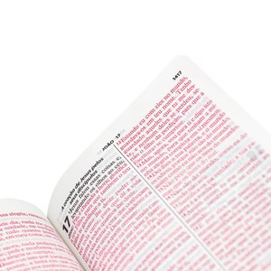 Bíblia Sagrada com Harpa Cristã | ARC | Letra Gigante | Capa Luxo Rosa