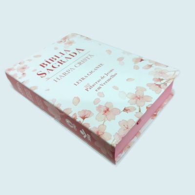 image_070d328f-e761-4959-a410-7a83eefc9ba2