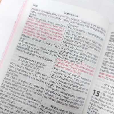 image_d49e5ea1-e165-4d22-949d-3c2576d0b18e