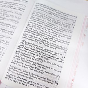 Bíblia Sagrada com Harpa Cristã | ARC | Letra Gigante | Cerejeira