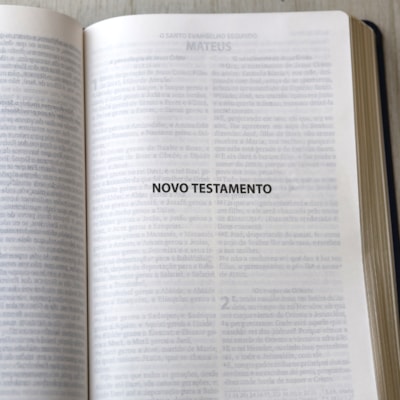 image_2b69793f-8a3c-4fef-832d-c6372a282466