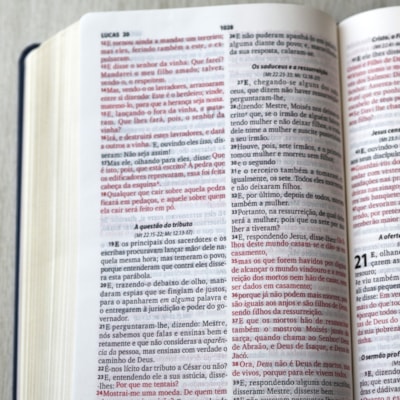 image_e5c9fbde-f48c-42a8-ad10-7799e6b9da59