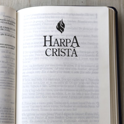 image_2a0e2d92-2791-4ef1-b2e5-24a0f8aff1d8