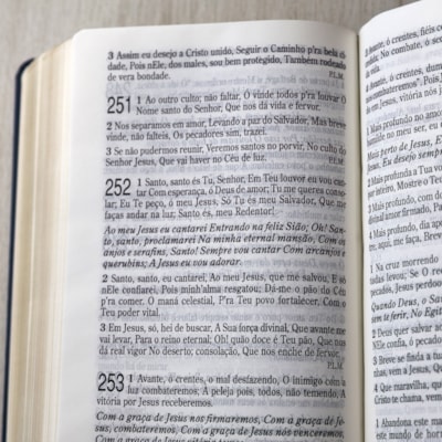 image_2f7163d5-811d-4af7-933e-18181e88e68e