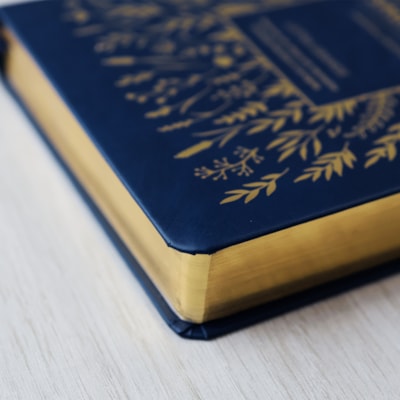 image_0ebee8d5-7527-4d2e-ac48-25aca080790f