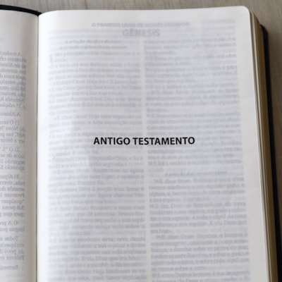 image_632224b4-944a-424a-832e-a150546fd545