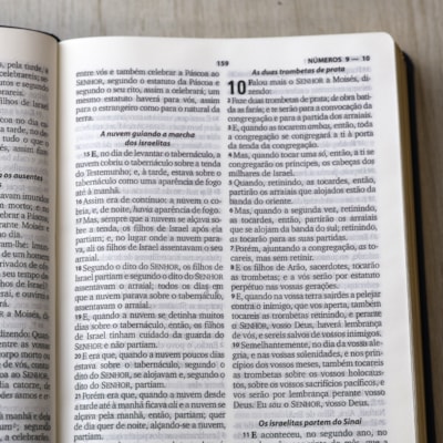 image_409e80bf-b95d-47fb-88e0-c5b075f60470