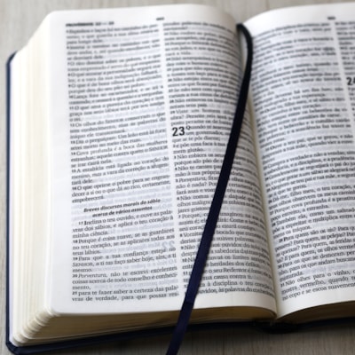 image_371ea090-651a-4cb6-b030-a7f5e8c6a294