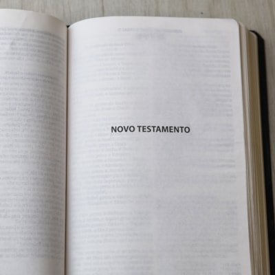 image_1154d9e5-e4a0-41b6-9ef5-e789776baf83