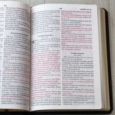 image_9afe097c-6ee7-4b02-9559-dd660f6714f6