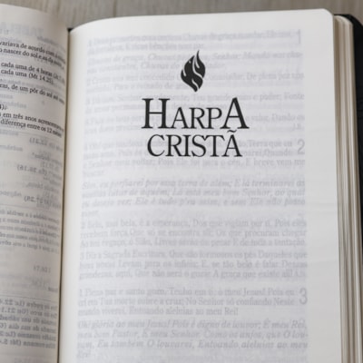 image_3e12221a-3091-44ea-88bc-dcbf8269c891