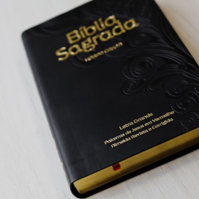 image_4ac7dfcc-a8c0-4e0a-9ff7-323dc1faf36a