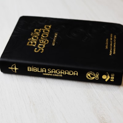 image_bb70e397-d14a-4cae-b6b0-9a5ef47c5ae3