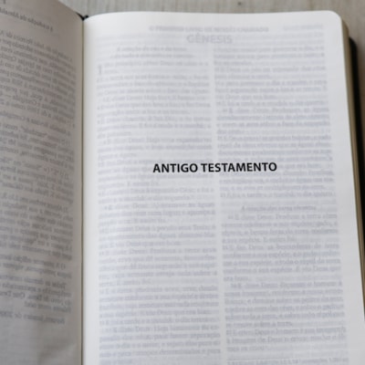 image_aea60a6a-f0b6-4e9a-9f27-b43382b5efc5