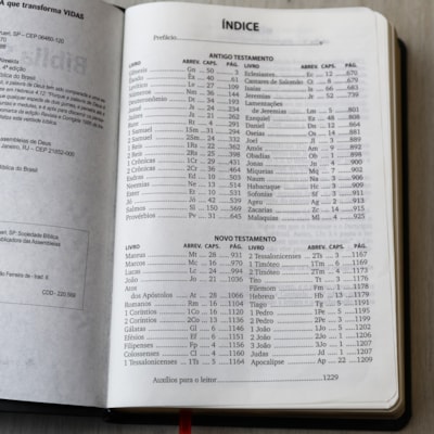 image_a3f15d91-7662-4132-abb2-e931adcf6611