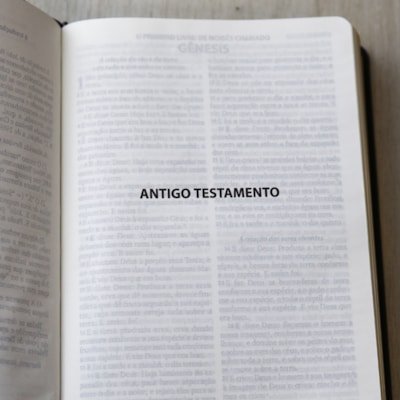 image_fbdd6f30-4777-484d-ab07-33f5672ff0f6