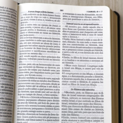 image_29981cc8-5c50-44ab-92f5-a5219f866448