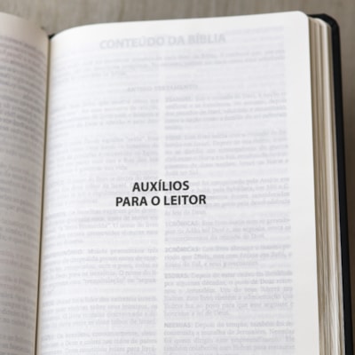 image_d0a682f4-2f6a-446c-b7a0-059910a7de55