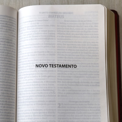 image_464e0ae1-33f6-48c5-b6c2-22b7f207f507