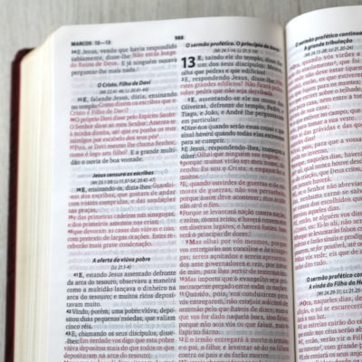 image_b9799324-789d-4f7e-acd0-8c8660b903ae